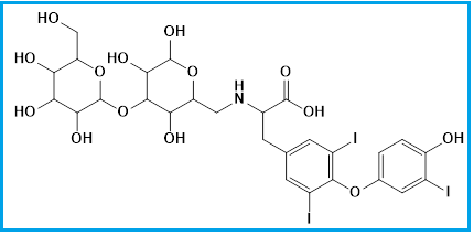 LIOTHYRONINE MAILLARD LACTOSE IMPURITY